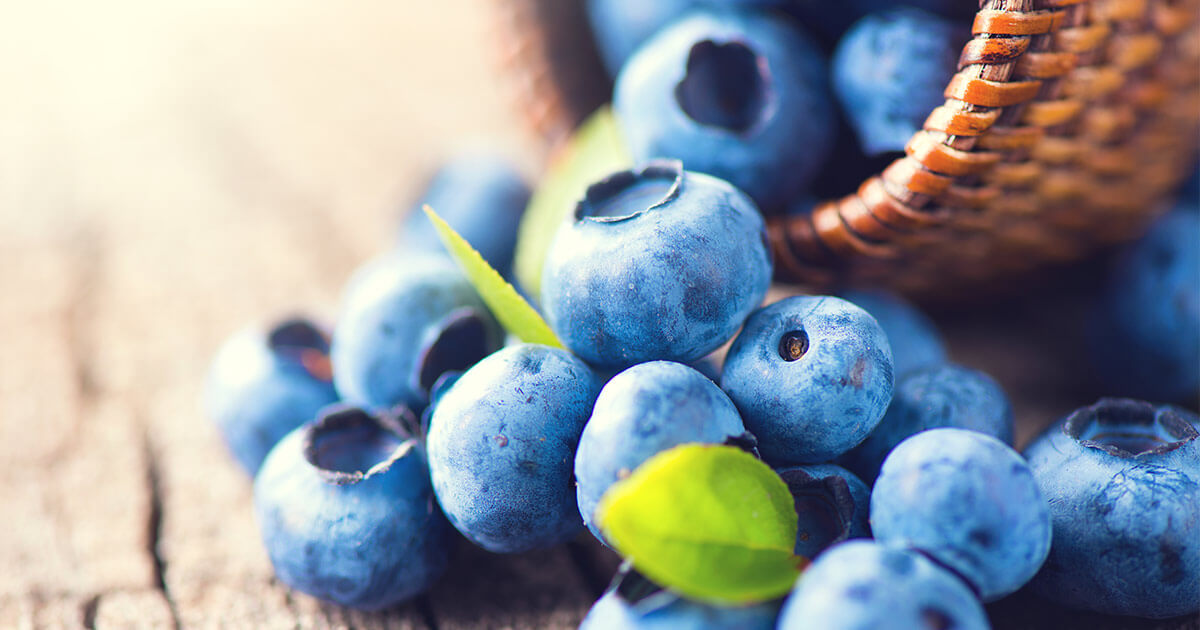 Fresh blueberries spilling from a basket